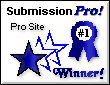 #1 Pro Site Winner