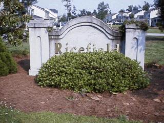 Ricefield entrance in Windsor Hill Plantation